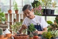 A senior Asian man working in a planting hobby room with happiness and concentrait. Idea for green lover who plants tree and Royalty Free Stock Photo