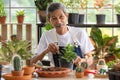 A senior Asian man working in a planting hobby room with happiness and concentrait. Idea for green lover who plants tree and Royalty Free Stock Photo