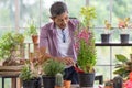 A senior Asian man working in a planting hobby room with happiness. Idea for green lover who plants tree and botany in corner of Royalty Free Stock Photo