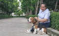 Senior Asian overweight woman gently stroking her beagle dog while resting on walkway in public park Royalty Free Stock Photo