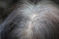 Senior asian woman shows gray hair