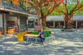 Senior Asian women traveler sit under the worship Tree in Xiqiao mountain Foshan city