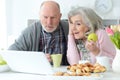 Portrait of senior couple portrait with laptop