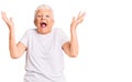 Senior beautiful woman with blue eyes and grey hair wearing casual white tshirt celebrating crazy and amazed for success with arms Royalty Free Stock Photo