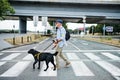 Senior blind man with guide dog walking outdoors in city, crossing the street. Royalty Free Stock Photo