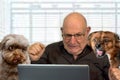 Senior boss works in his office . He and his dogs look horrified at the computer screen