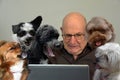 Man and dogs in homeoffice Everyone wants to have a loud say