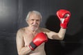 Senior boxer portrait on a dark background Royalty Free Stock Photo