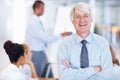 Senior business man with elegance. Portrait of elegant senior business man smiling with executives in background. Royalty Free Stock Photo