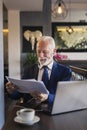 Senior businessman reading documentation Royalty Free Stock Photo