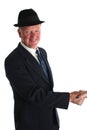 Senior businessman portrait Royalty Free Stock Photo