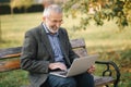 Senior businessman using laptop outside. Elderly man in gray jacket use laptop in the park Royalty Free Stock Photo