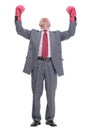 senior businessman wearing a gray suit with boxing gloves in a victory pose Royalty Free Stock Photo