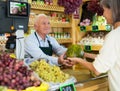 Senior cashier serving customer in greengrocer Royalty Free Stock Photo
