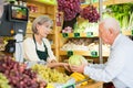 Senior cashier woman serving customer in greengrocer Royalty Free Stock Photo