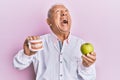 Senior caucasian man holding denture and green apple angry and mad screaming frustrated and furious, shouting with anger looking Royalty Free Stock Photo