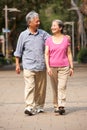 Senior Chinese Couple Walking In Park