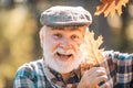 Senior citizen stroll in a park in autumn. Old man alone in autumn park. Elderly old man on autumn background - face Royalty Free Stock Photo