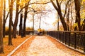 Senior Citizens with their bicycles in city park autumn morning Royalty Free Stock Photo