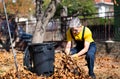 Senior collecting fallen autumn leaves in the yard Royalty Free Stock Photo