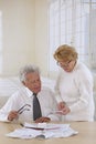 Senior couple with administratives papers Royalty Free Stock Photo