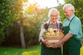 Senior couple and apple basket. Royalty Free Stock Photo