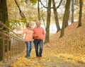 Senior couple in autumn park Royalty Free Stock Photo