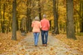 Senior couple in autumn park Royalty Free Stock Photo