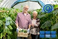 Senior couple with box of cucumbers on farm Royalty Free Stock Photo