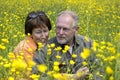 Senior couple in a buttercup field Royalty Free Stock Photo