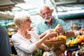 Senior family couple choosing bio food fruit and vegetable on the market during weekly shopping Royalty Free Stock Photo