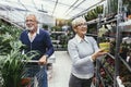 Senior couple are choosing potted plant at garden center Royalty Free Stock Photo