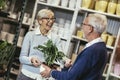 Senior couple are choosing potted plant at garden center Royalty Free Stock Photo