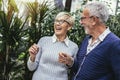 Senior couple are choosing potted plant at garden center Royalty Free Stock Photo