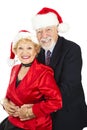 Senior Couple Christmas Portrait