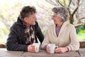 Senior couple, conversation or coffee to relax in garden as happy, communication or bonding together. Elderly man, woman Royalty Free Stock Photo