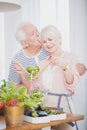 Senior couple cooking Royalty Free Stock Photo