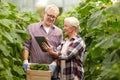 Senior couple with cucumbers and tablet pc on farm Royalty Free Stock Photo