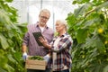 Senior couple with cucumbers and tablet pc on farm Royalty Free Stock Photo