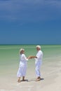 Senior Couple Dancing Holding Hands on A Beach Royalty Free Stock Photo