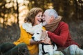 A senior couple with a dog in an autumn nature at sunset.