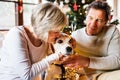 Senior couple with dog in front of Christmas tree