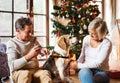 Senior couple with dog in front of Christmas tree