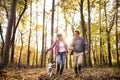 Senior couple with dog on a walk in an autumn forest. Royalty Free Stock Photo