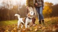 Senior couple with dog on a walk in an autumn nature. Generative AI Royalty Free Stock Photo