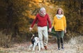 A senior couple with a dog on a walk in an autumn nature. Royalty Free Stock Photo