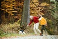 A senior couple with a dog on a walk in an autumn nature. Royalty Free Stock Photo