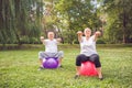 Senior couple doing fitness exercises on fitness ball in park Royalty Free Stock Photo