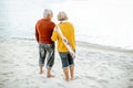 Senior couple in sweaters on the seashore Royalty Free Stock Photo