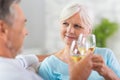Senior couple drinking wine Royalty Free Stock Photo